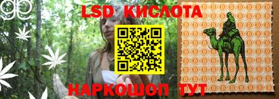 гидропоника Заводоуковск