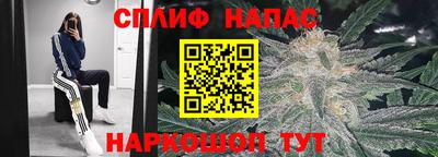 PSILOCYBIN Заволжье