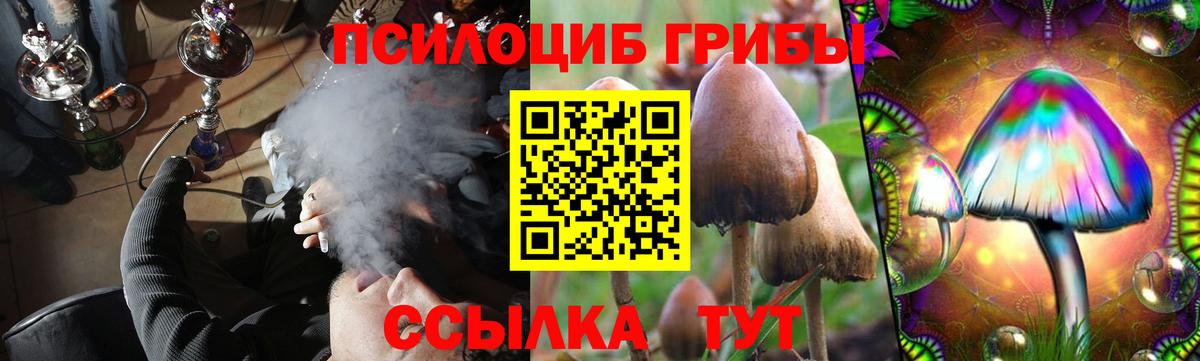 Псилоцибиновые грибы GOLDEN TEACHER  Вход с VPN  Галлюциногенные грибы Psilocybe  Печора 